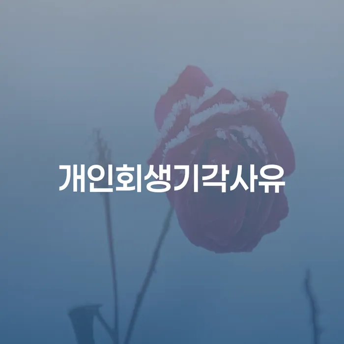 개인회생장점 빚 합법적인 빠른방법 혼자 고민하지 마세요.