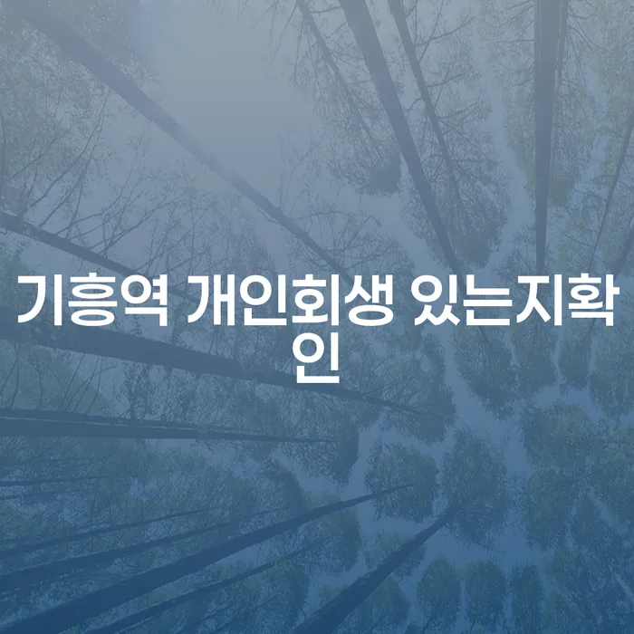 기흥역 개인회생 있는지확인