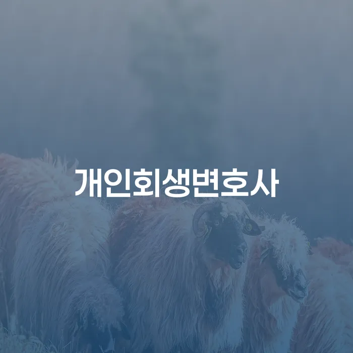 가양동 개인회생변호사와 함께 채무 탕감의 길을 찾아보세요!