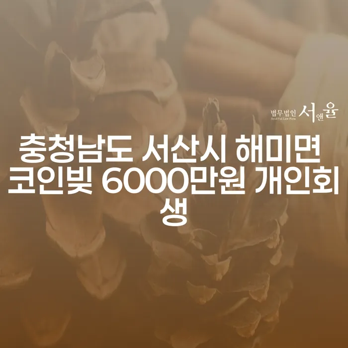 충청남도 서산시 해미면에서 코인빚 6000만원, 개인회생이 가능한가요?