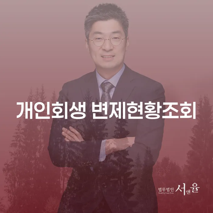 개인회생 변제현황조회, 어떻게 해야 할까요?